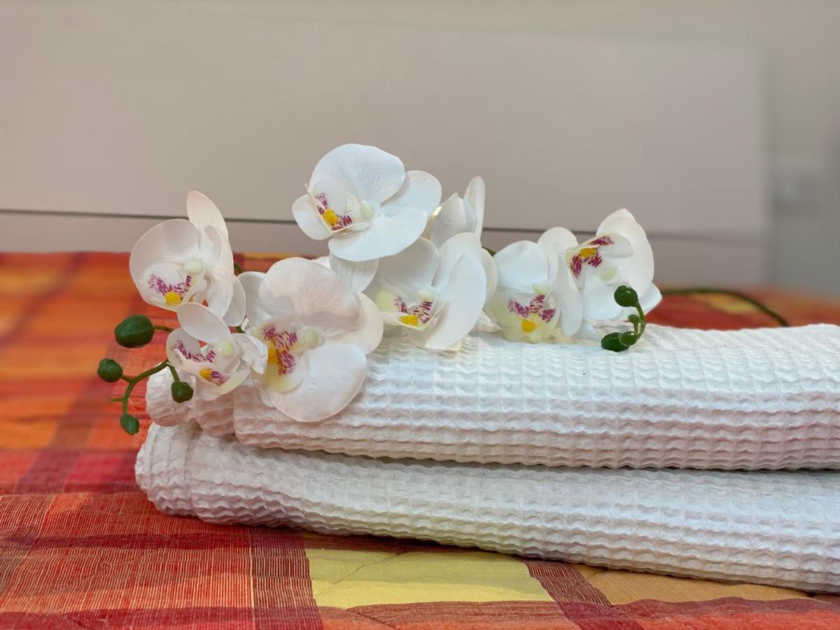 Apartamento Casa Renato